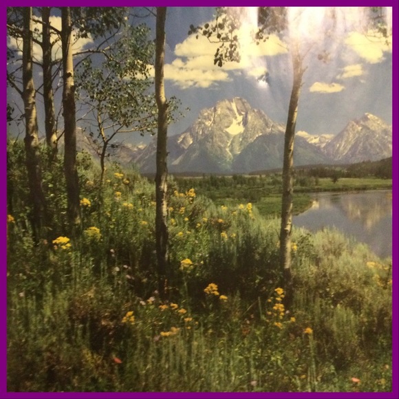 Scenic Poster - Picture 4 of 5